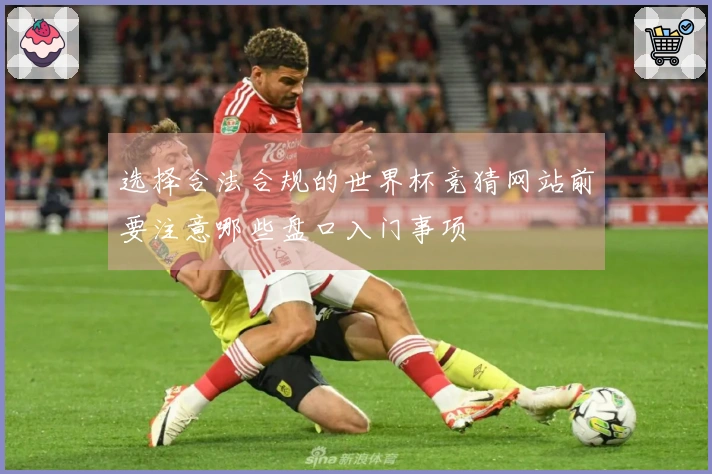 选择合法合规的世界杯竞猜网站前要注意哪些盘口入门事项