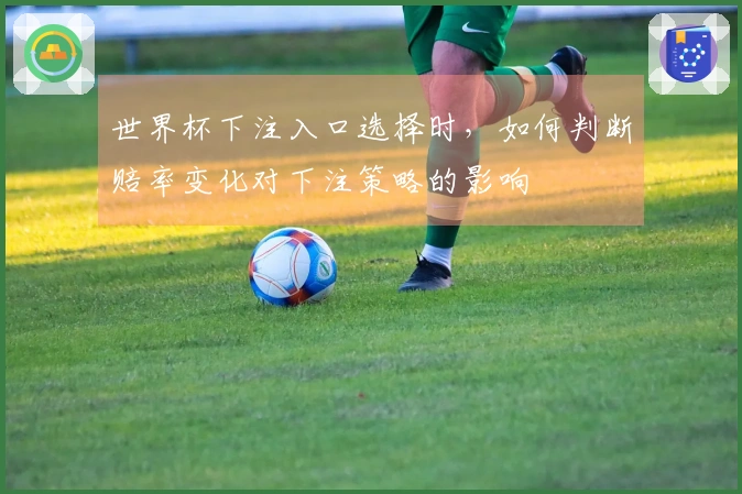 世界杯下注入口选择时，如何判断赔率变化对下注策略的影响