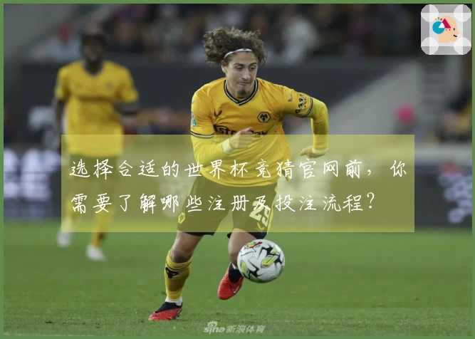 选择合适的世界杯竞猜官网前，你需要了解哪些注册及投注流程？