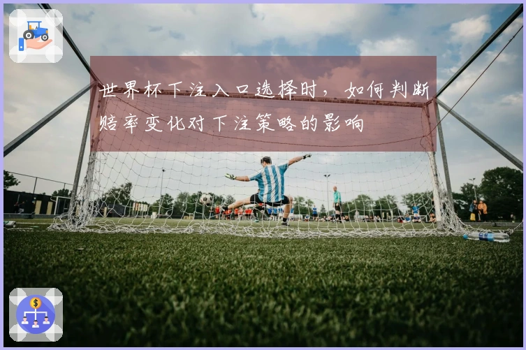 世界杯下注入口选择时，如何判断赔率变化对下注策略的影响